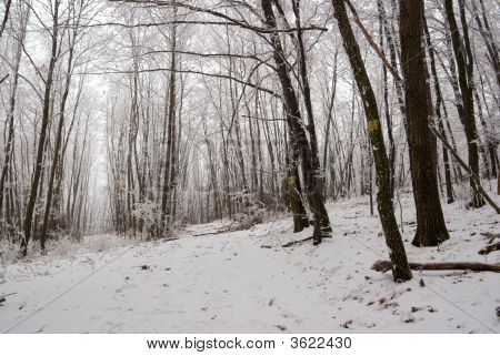 Vinter