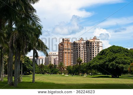 Parcours de golf, de palmiers et Condos
