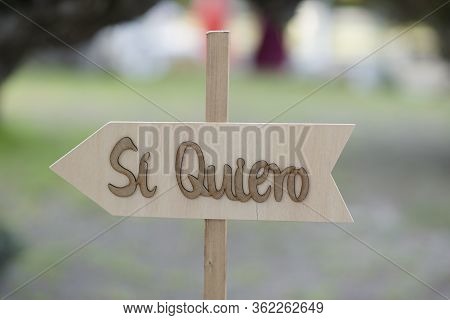 Wood Direction For The Most Important Place Of A Wedding