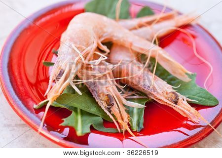 กุ้ง