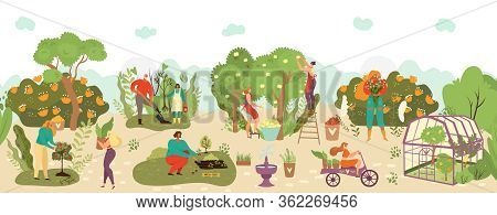 Harvest In Garden With Fruits Crop And Agriculture Farming Flat Vector Illustration, Harvesters Frui