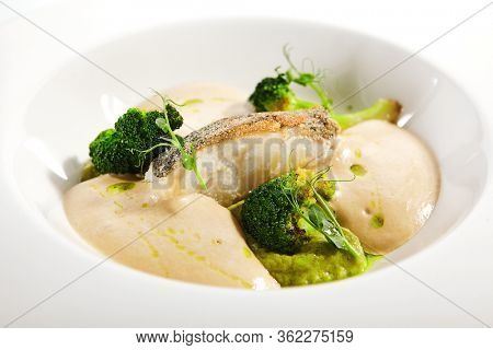 Sea cod fillet close up. Served cuisine. Dish with fish and baked broccoli puree ingredients in white plate isolated. Luxury culinary. Restaurant food portion, delicious supper, main course
