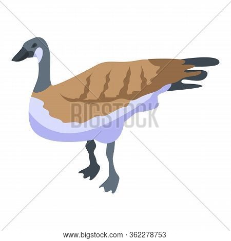 canada goose web designer