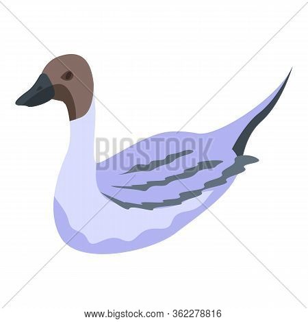 Swimming Duck Icon. Isometric Of Swimming Duck Vector Icon For Web Design Isolated On White Backgrou