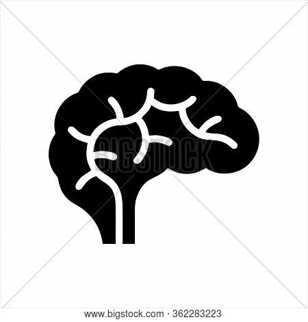 Brain Icon Isolated On White Background. Brain Icon In Trendy Design Style. Brain Vector Icon Modern