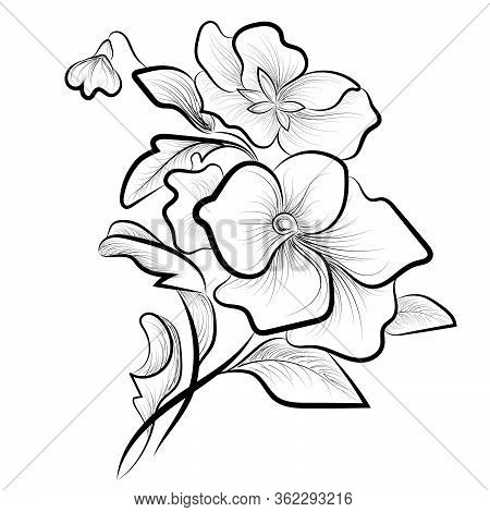 Contour Sketch Of A Bouquet Of Flowers.bouquet Of Flowers In Outline Black On A White Background.