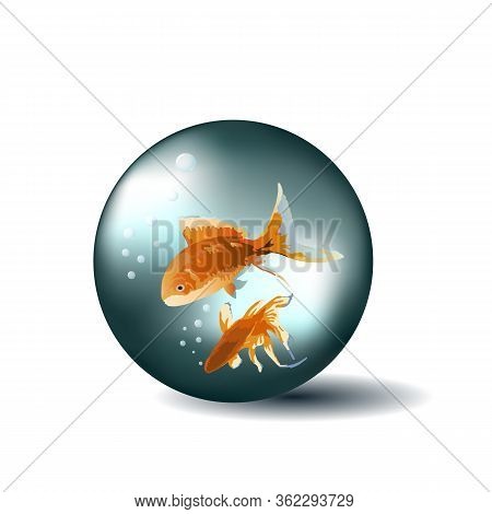 Goldfish In A Colored Bowl On A White Background.beautiful Goldfish In Illustration.