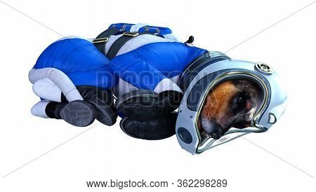 3D Rendering Astronaut Dog On White