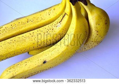 A Banana Is An Elongated, Edible Fruit - Botanically A Berry - Produced By Several Kinds Of Large He