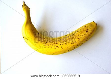 A Banana Is An Elongated, Edible Fruit - Botanically A Berry - Produced By Several Kinds Of Large He