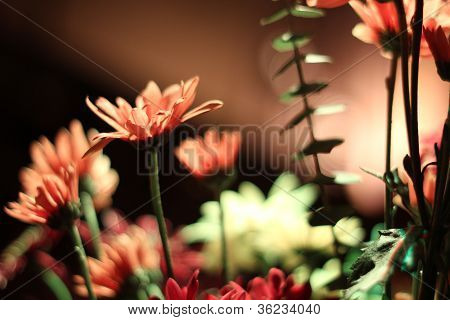 Decorativas flores secas con iluminación naranja