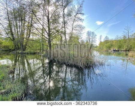 A Spring Landscape With Trees Along Small Lakes Or Ponds And The Glatt River - Zürich (zuerich Or Zu