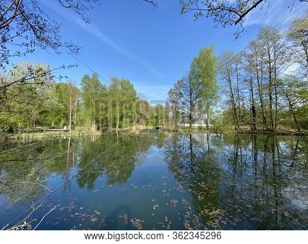 A Spring Landscape With Trees Along Small Lakes Or Ponds And The Glatt River - Zürich (zuerich Or Zu
