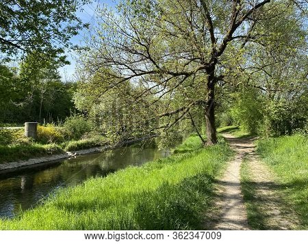 Recreational Trails Along The Glatt River And Past Small Lakes Or Ponds - Zürich (zuerich Or Zurich)