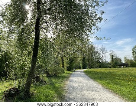 Recreational Trails Along The Glatt River And Past Small Lakes Or Ponds - Zürich (zuerich Or Zurich)