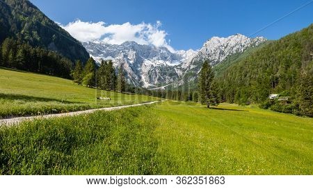Summer In Jezersko, Slovenia Mountain Valley Pasture With Kamnik-savinja Alps
