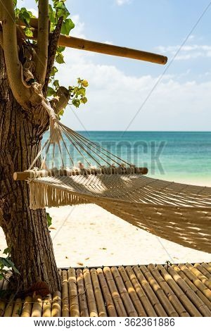 Hammock on the tropical beach