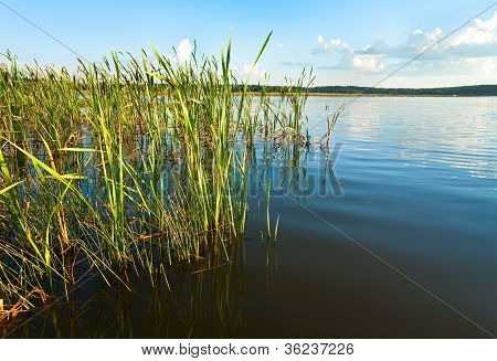 Kesän Aki järvi