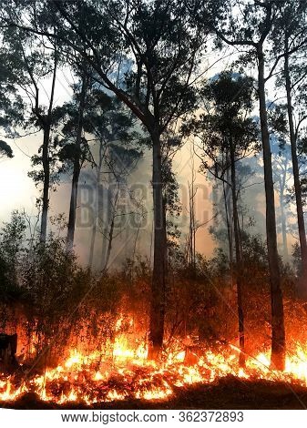 A Fire Burning On The South Coast Of Nsw