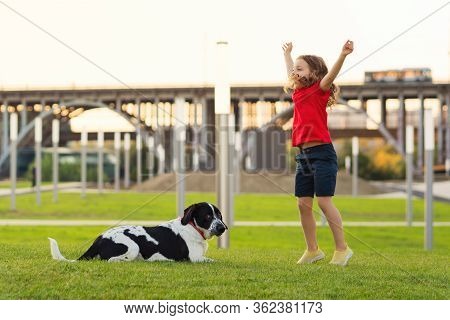 Young Girl In Red T-shirt With Hunting Dog Walk In Green Grass On Sunny Lawn. Faithful Friends Of Hu