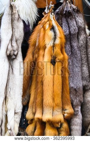 Animal Skins Fur Hung For Sale. Merciless Killing Of Animals. The Social Problem Of Killing Animals 