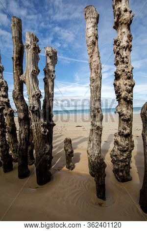 Big Breakwater, 3000 Trunks To Defend The City From The Tides, Plage De L Eventail Beach In Saint-ma