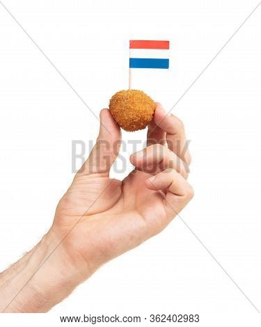 Single Dutch Traditional Snack Bitterbal In A Hand, Isolated
