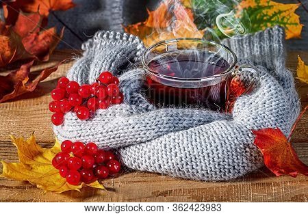 Tea With A Viburnum. Autumn Maple Leaves On A Wooden Table Next To A Knitted Scarf.