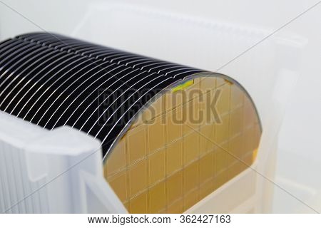 Close Up Of Silicon Wafers Gold Yellow Color With Chip Cells Prepared For Production In A Semiconduc