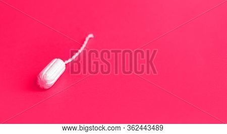 Banner With Protective White Cotton Tampon On Vibrant Pink Background. Menstrual Cycle. Gynecology. 