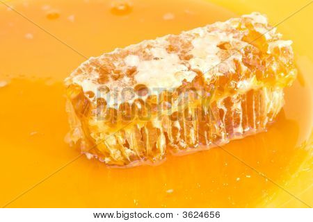 Plaster miodu w miodzie