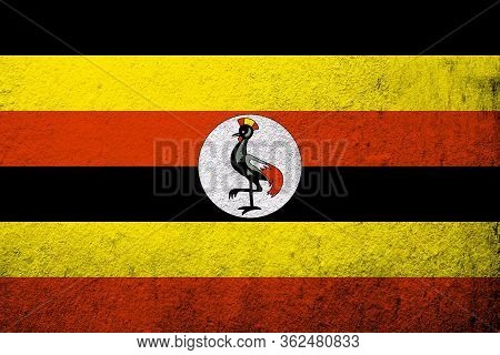 The Republic Of Uganda National Flag. Grunge Background