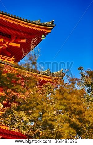 Japanese Religiuos Heritage. Wings Of Kiyomizu-dera Temple At Daytime. Traditional Red Maples In For