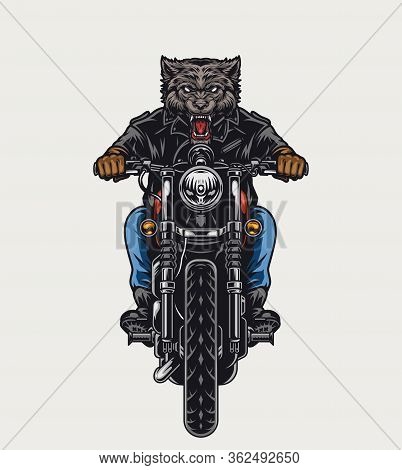 Ferocious Wolf Head Moto Rider Driving Motorcycle In Vintage Style Isolated Vector Illustration