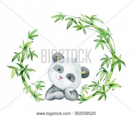 Panda, Surrounded By Bamboo Branches, Rounded Shape, Looks Up. Watercolor Concept, Panda, Bamboo, On