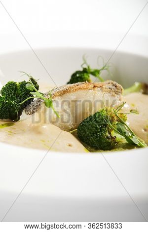 Sea cod fillet close up. Served cuisine. Dish with fish and baked broccoli puree ingredients in white plate isolated. Luxury culinary. Restaurant food portion, delicious supper, main course