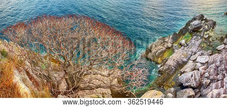 Shoreline And Adriatic Sea Scenic Landscape On The Coast Path To Petrovac.  Location: Petrovac Town,