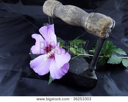 Floral sammensætning