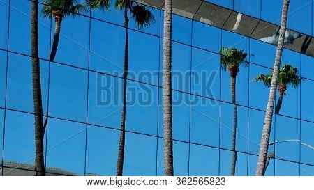 Palm Trees On The Streets Of Los Angeles
Colorful Palm Tree Background For Web Design.
