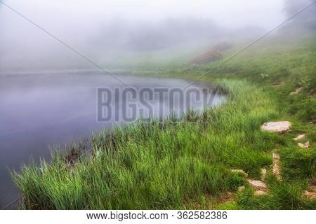 The Shore Of The Lake With Coastal Grass Is Hidden In Dense Fog. The Fog Beautifully Spreads Across 