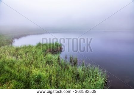 The Shore Of The Lake With Coastal Grass Is Hidden In Dense Fog. The Fog Beautifully Spreads Across 