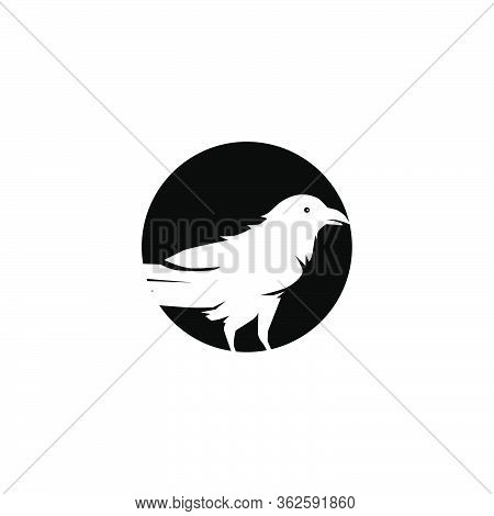 Raven Bird Icon Logo Design Vector Template