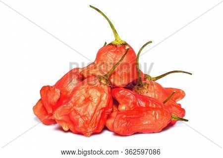 Heap Of Capsicum Baccatum Chilli Also Known As Christmas Bell Isolated On White Background