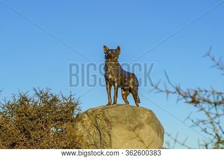 Tekapo / New Zealand, April 6 2019 ; New Zealand Collie Sheepdog Monument By Sculptor Innes Elliott 