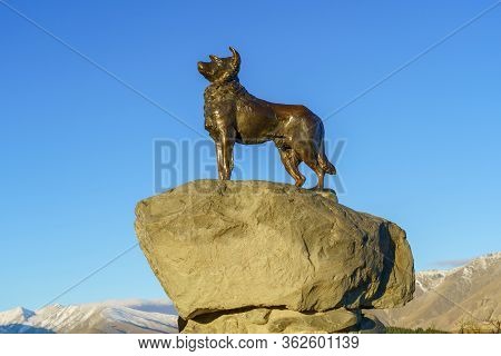 Tekapo / New Zealand, April 6 2019 ; New Zealand Collie Sheepdog Monument By Sculptor Innes Elliott 