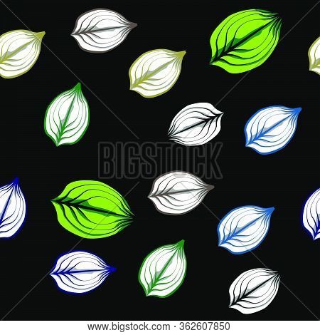 Colorful Leaf Shells Seamless Repeat With Black Background