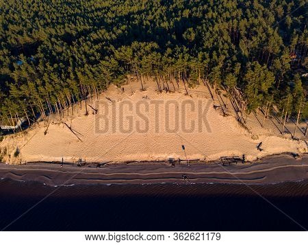Beautiful Drone Areal Photography View Of Large Dune And Pine Forest Near River Lielupe. Photo Taken