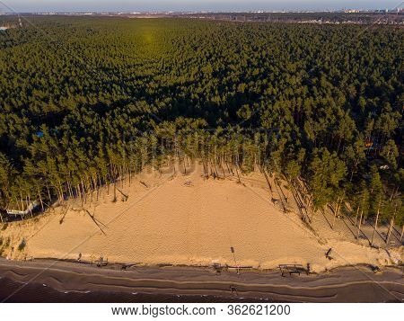 Beautiful Drone Areal Photography View Of Large Dune And Pine Forest Near River Lielupe. Photo Taken