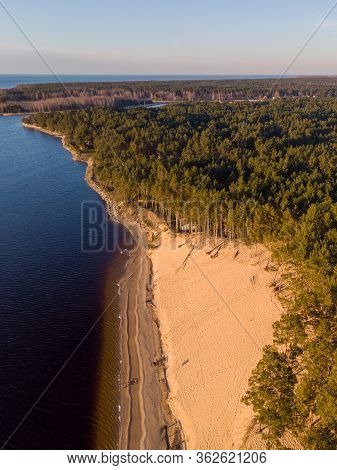Beautiful Drone Areal Photography View Of Large Dune And Pine Forest Near River Lielupe. Photo Taken