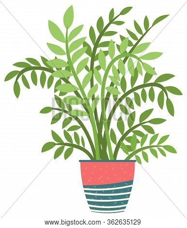 Flowers In Vases, Floral Decor For Home Flat Style Flourishing On Branches, Plant With Frondage, Ten